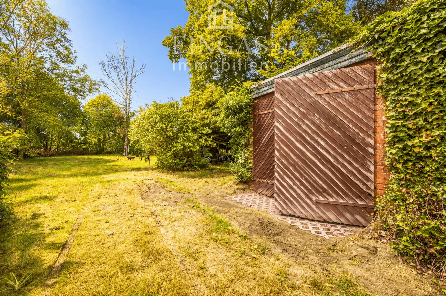 Blick in den Garten